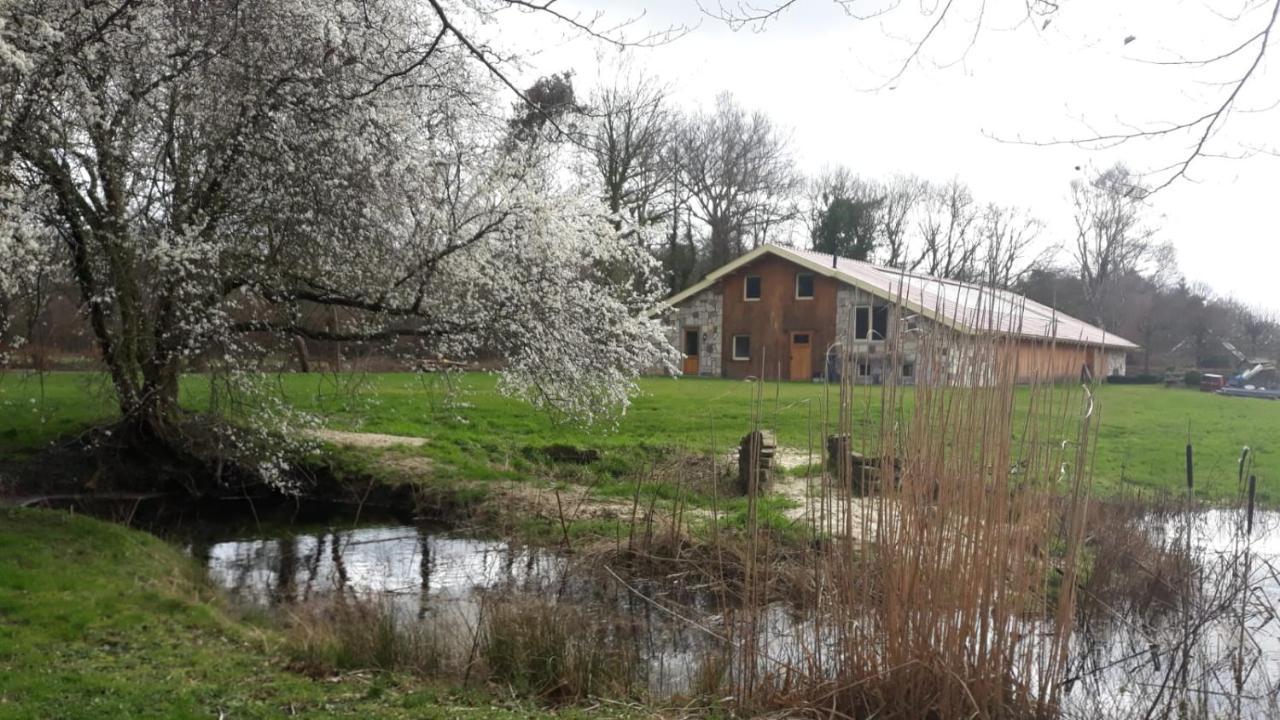 Hof Van Hagmolen Bentelo Zewnętrze zdjęcie